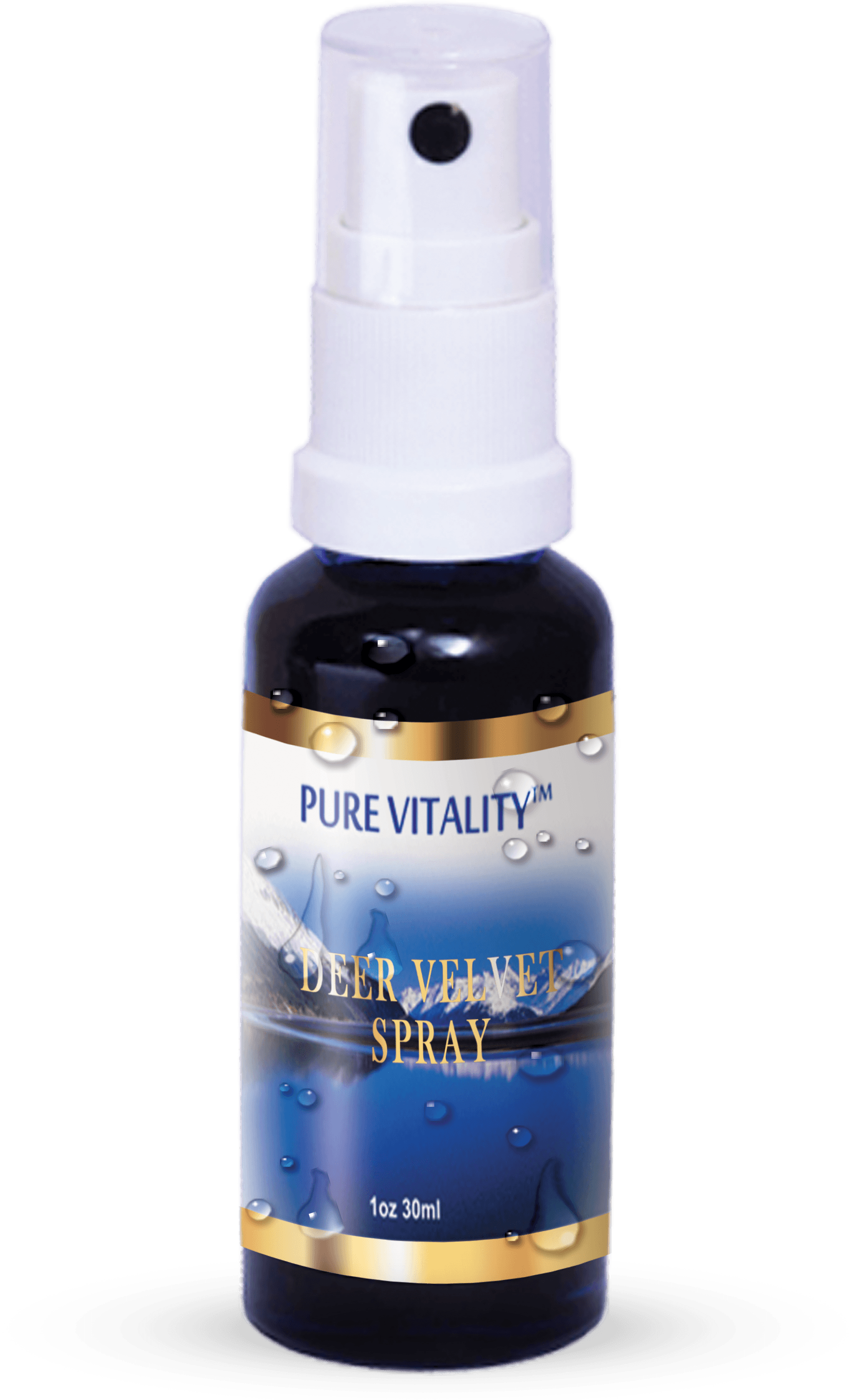 Deer Antler Spray - Ink (2362x3508), Png Download