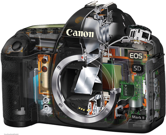 Camera Services In Kuwait - Canon 5d Mark Iii Inside (700x450), Png Download