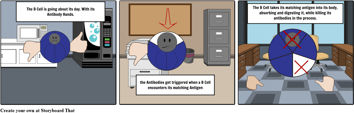 B Cell Cartoon - Cartoon (1164x385), Png Download