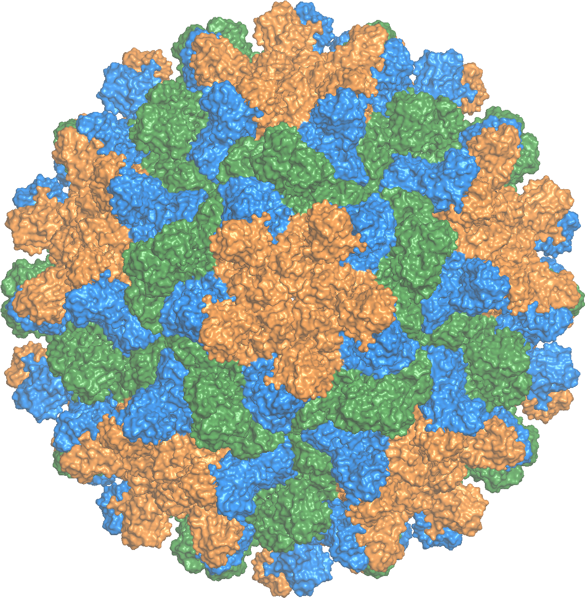 Tomato Bushy Stunt Virus - Art (1200x1200), Png Download