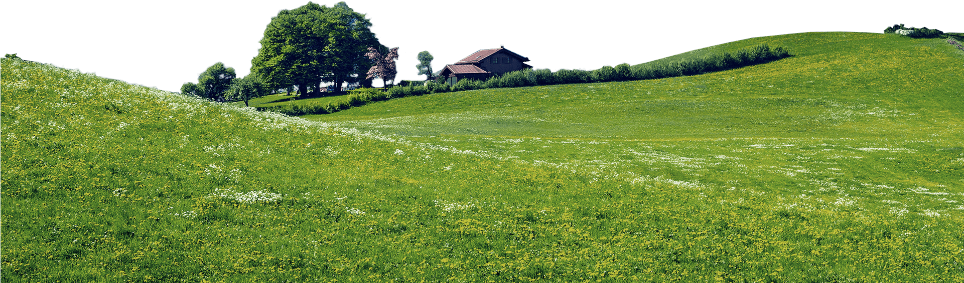 Millán Vicente Cheeses - Grass (1920x1136), Png Download