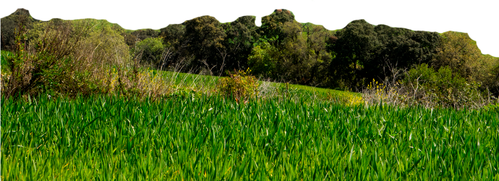 Routes (1024x768), Png Download