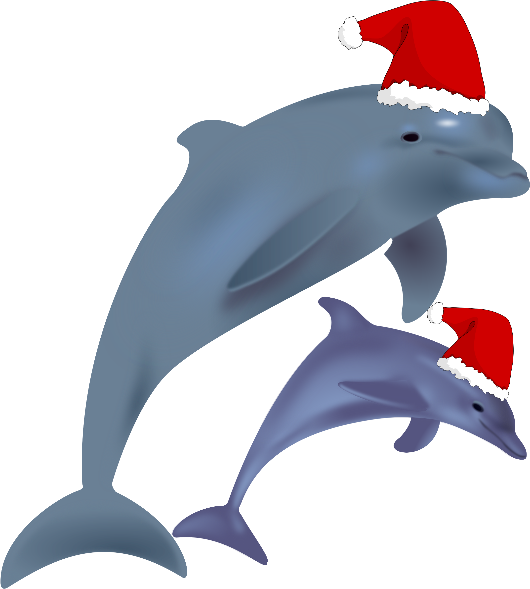 Big Image - Christmas Dolphin (2400x2400), Png Download