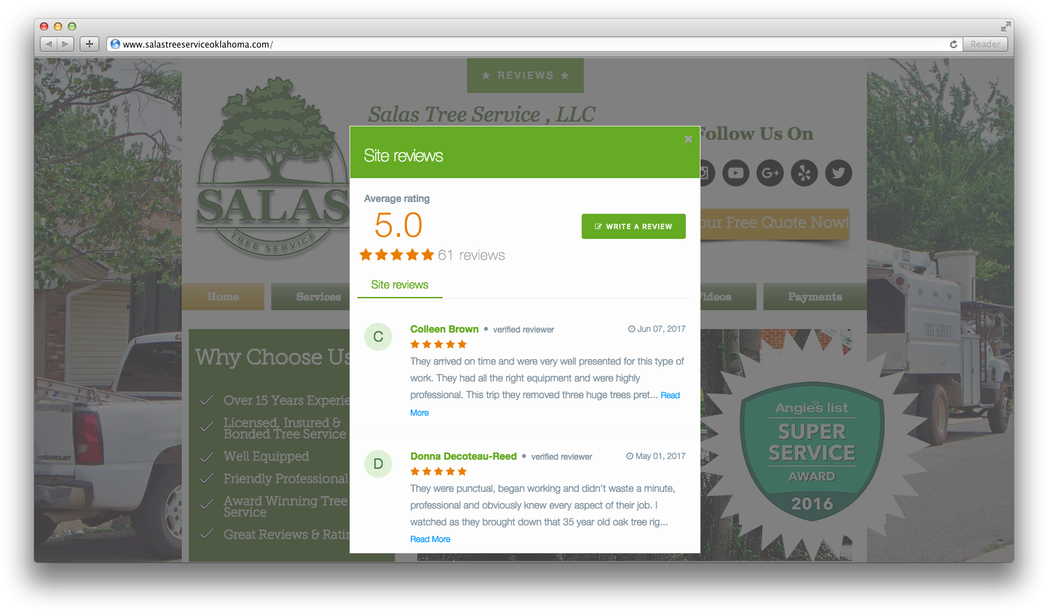 Salas Tree Service Online Reviews - Tree (1499x876), Png Download