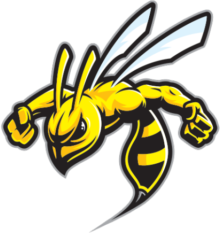 Download Transparent Hornet Clipart Wasp Sting - Honey Bee Mascot Logo ...