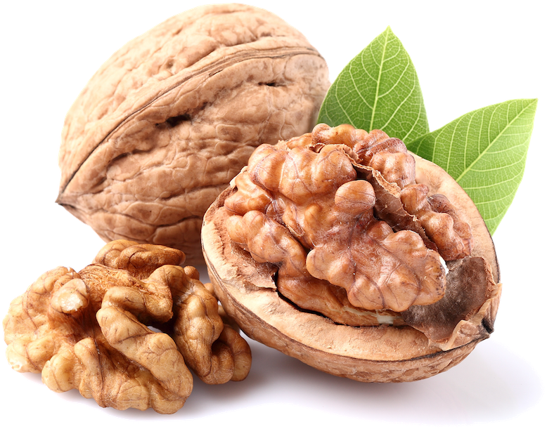 Pacific Nut Producer Magazine The Authoritative Voice - Pecan Nut Png (1000x823), Png Download