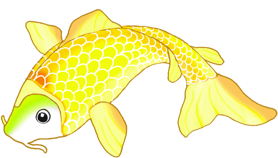 Colorful Drawings Golden Sketch - Koi Fish Drawing (1004x637), Png Download