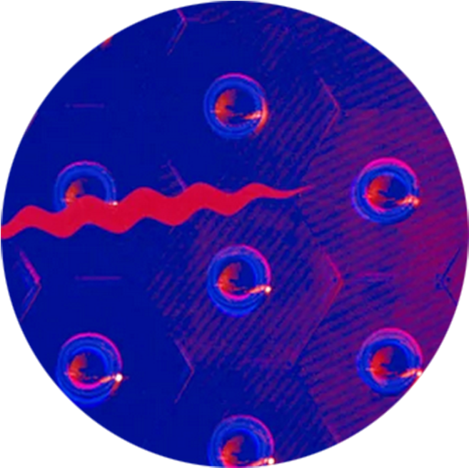 Dots - Circle (812x847), Png Download