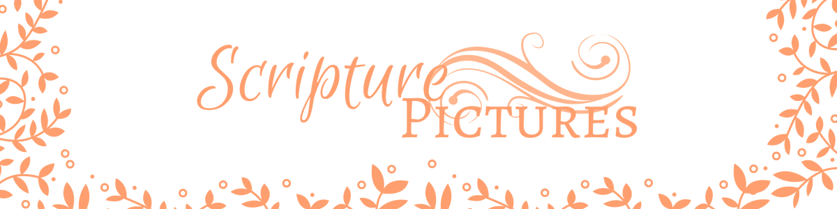 Scripture Pictures Shop Newsletter - Calligraphy (1200x300), Png Download