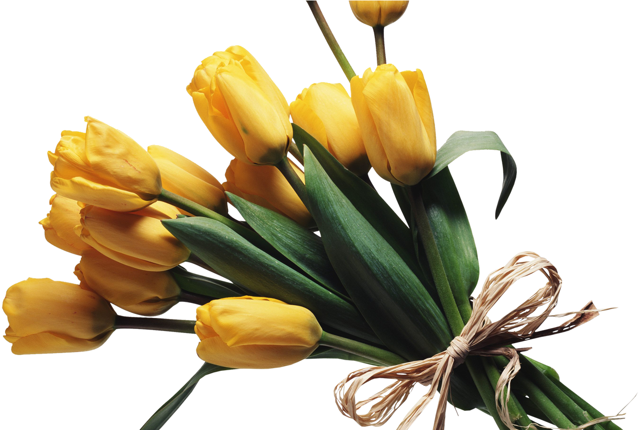 Bouquet Flowers Png - Niche Meme Png Flowers (1368x855), Png Download