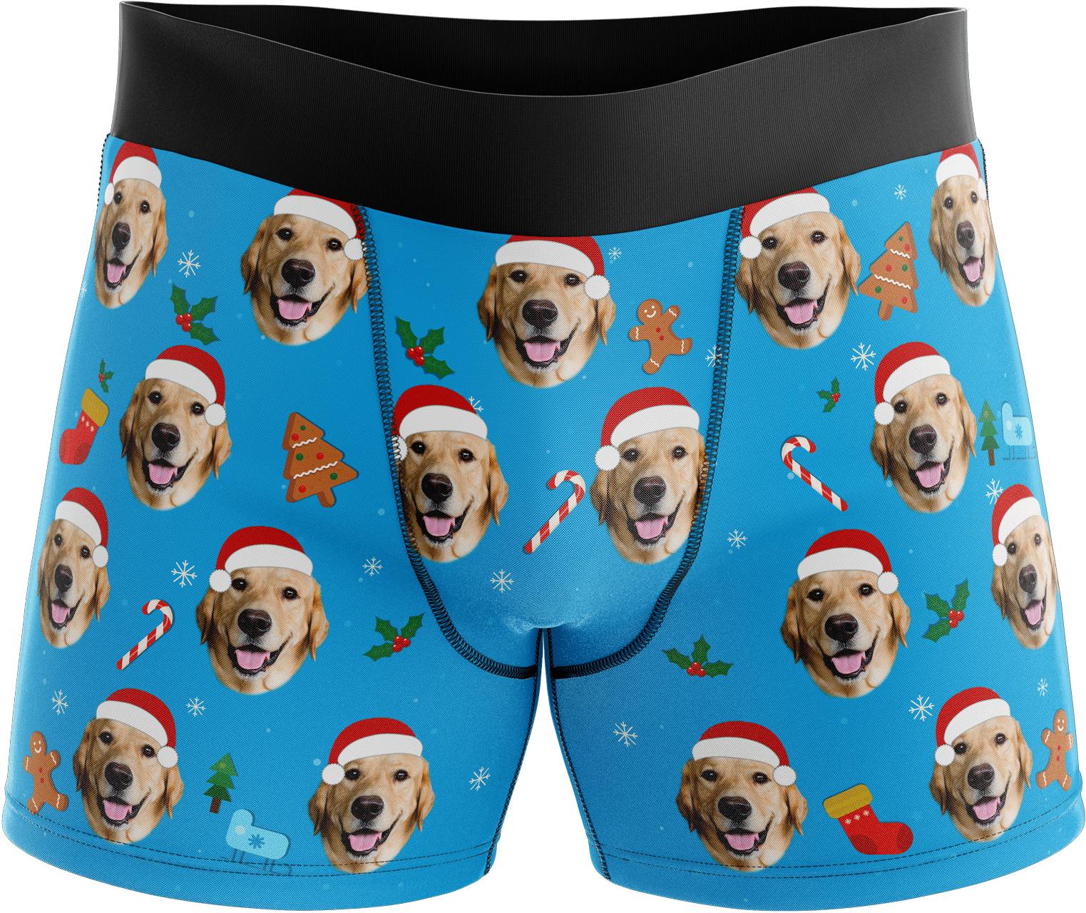 Santa Hat Dog - Board Short (2000x2000), Png Download