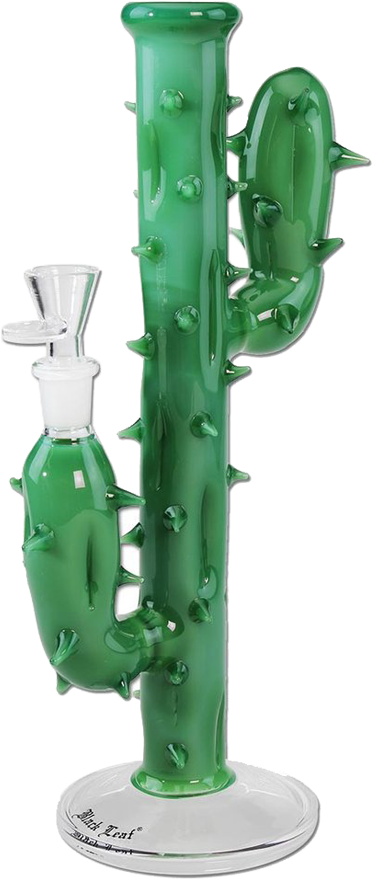 Black Leaf Cactus Bong - Cactus (473x1024), Png Download