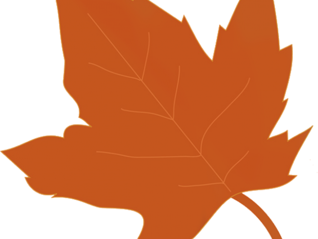 Autumn Leaves Clipart Transparent Background - Clip Art (640x480), Png Download