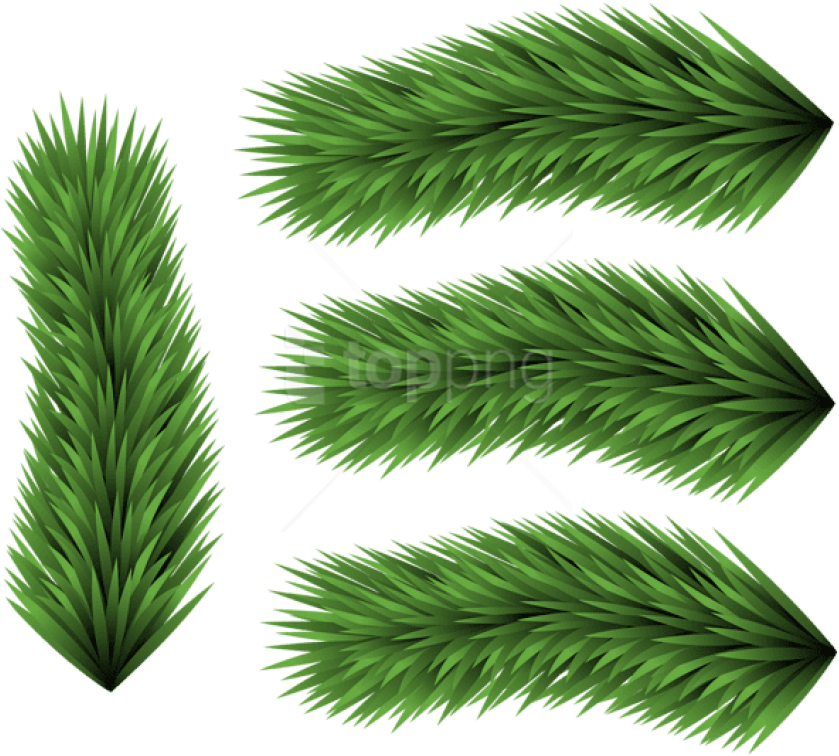 Free Png Set Of Pine Branches Png - Grass (850x765), Png Download