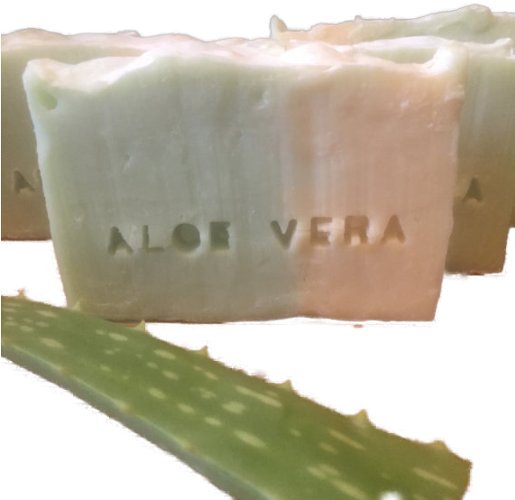 Aloe Vera Soap, Handmade, Natural, Organic - Aloe (570x602), Png Download