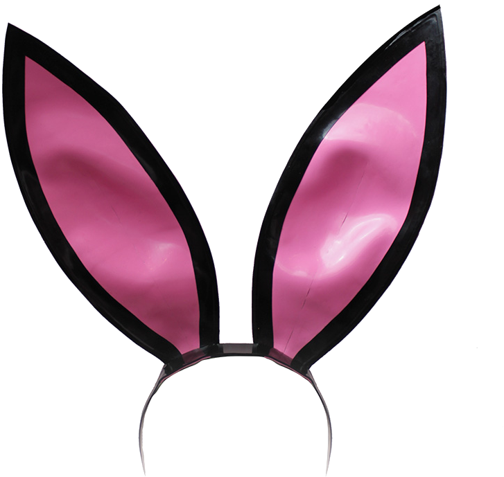 Baby Blue Bunny Ears (800x800), Png Download
