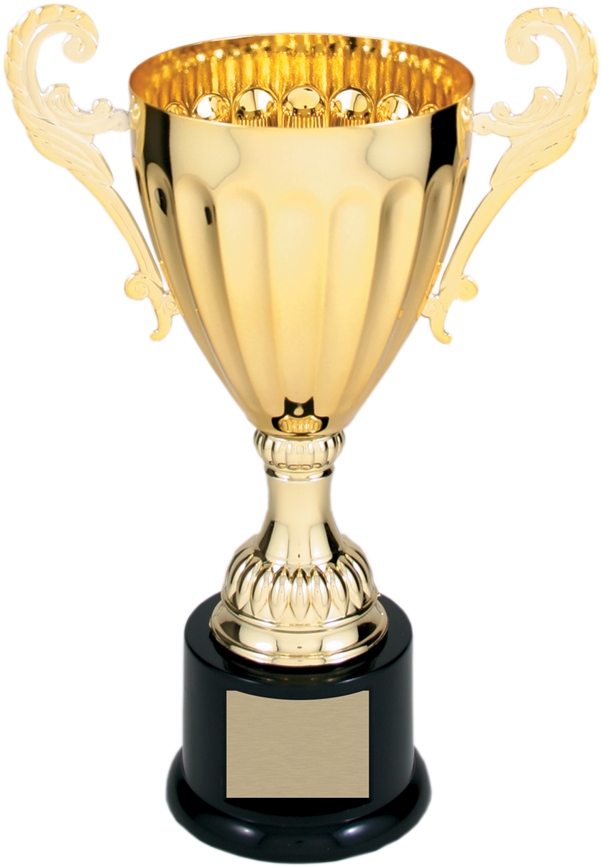 Gold Metal Corporate Cup Trophy - Gold Cup Winners (986x1316), Png Download