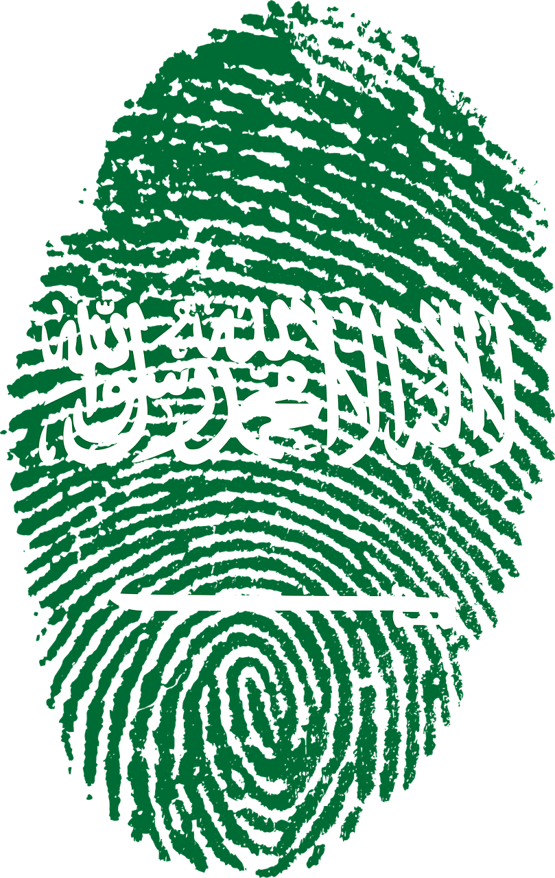 Fingerprint Png - Saudi Fingerprint (809x1280), Png Download