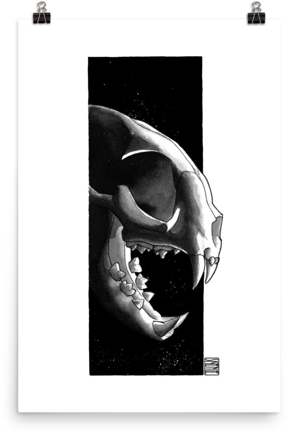 Cat Skull, Black & White - Monochrome (1000x1000), Png Download