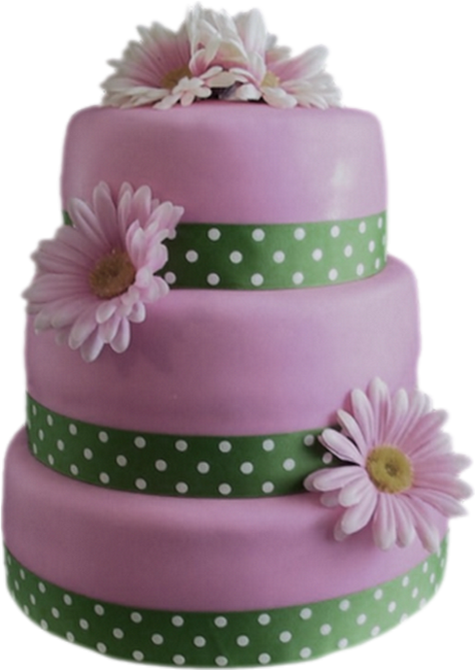 Pink Cake (475x670), Png Download