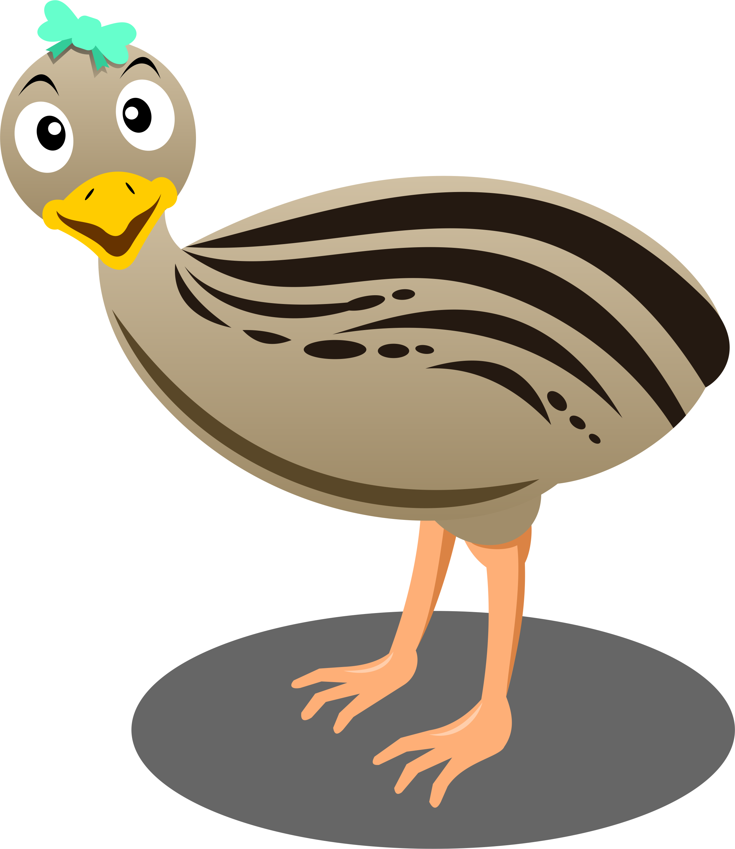 Cartoon Emu Png Transparent Cartoon Emu - Emu Cartoon Transparent (2344x2706), Png Download
