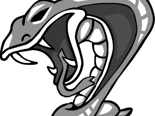 Drawn Snake Snake Png - Snake (640x480), Png Download