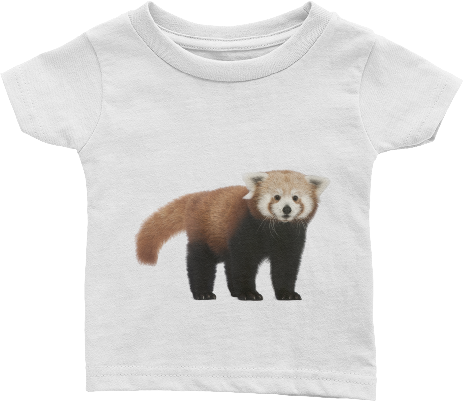 Red-panda Print Infant Tee - Red Panda (1000x1000), Png Download