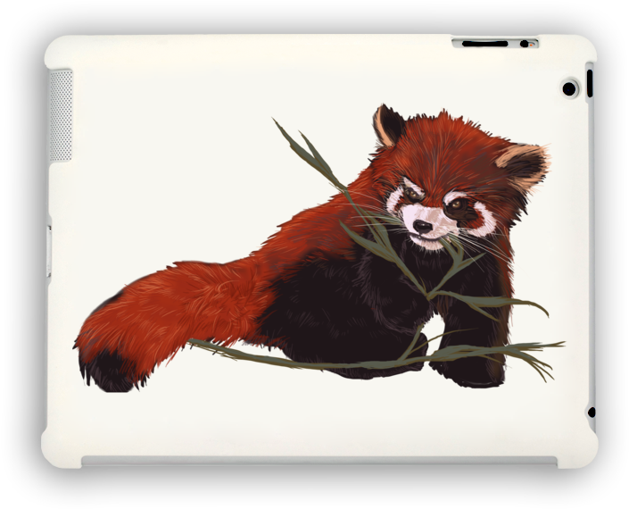 Red Panda Love Ipad Case - Red Panda (830x600), Png Download