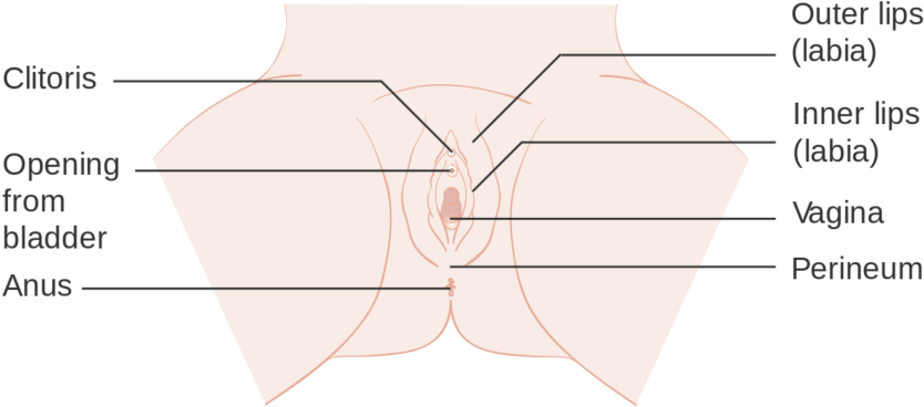 Diagram (888x460), Png Download