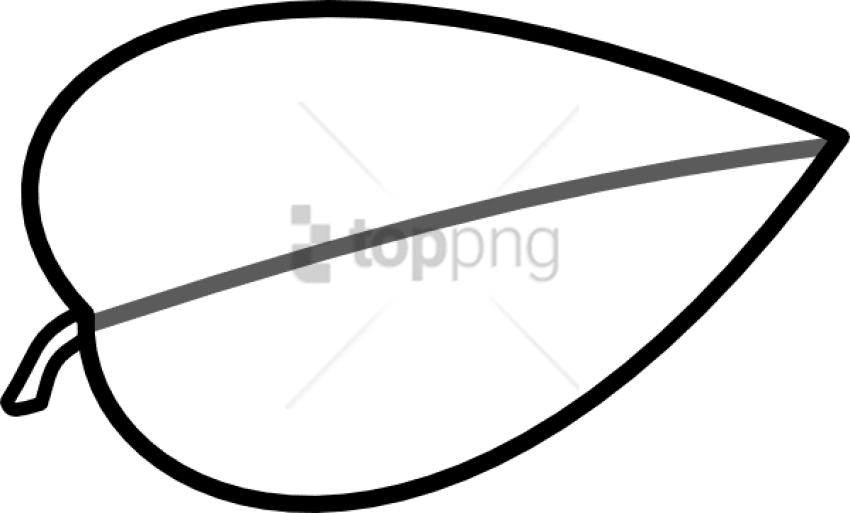 Free Png Leaf Outline Png Image With Transparent Background - Leaf Clip Art Outline (850x513), Png Download