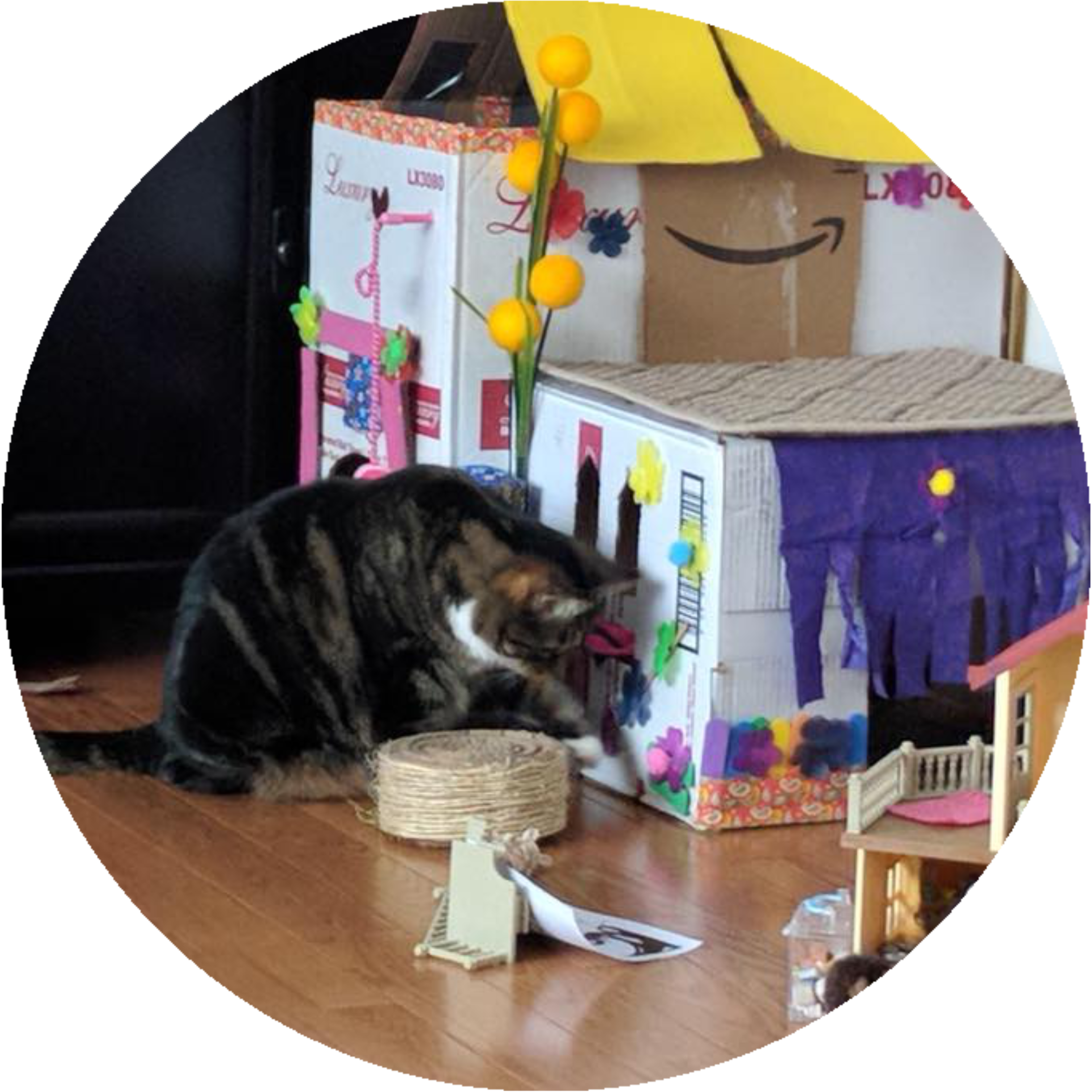 Cat Grabs Treat (2500x2509), Png Download