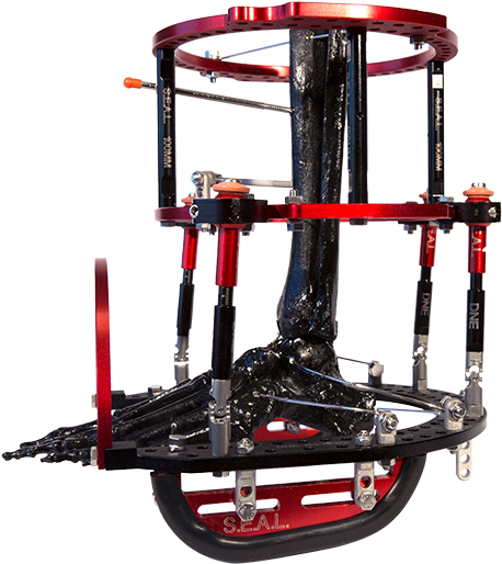 Dne Seal Circular Frame 24 - Machine (600x600), Png Download