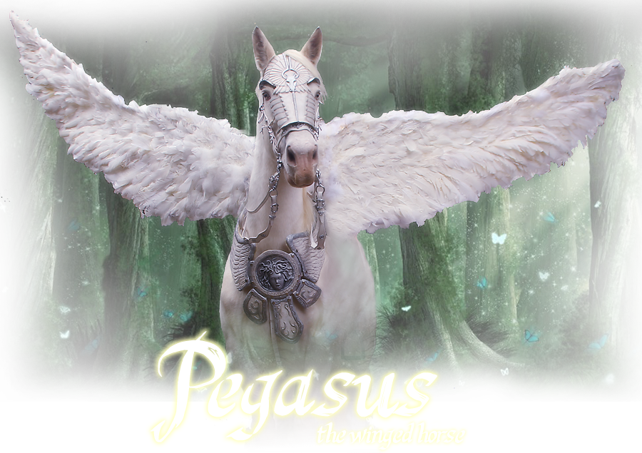 Pegasus Is One Of The Mythological And Fantastic Beings (900x635), Png Download