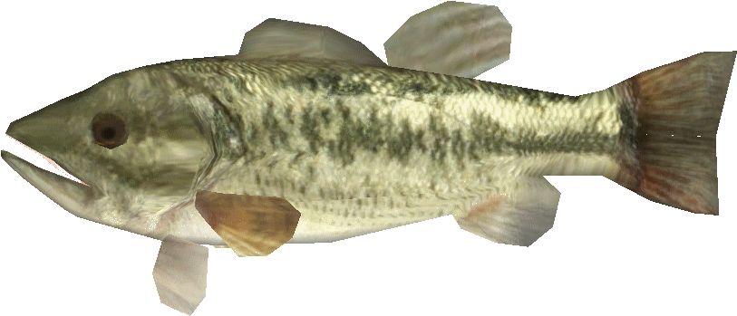 Largemouthbasslego - Oily Fish (872x872), Png Download