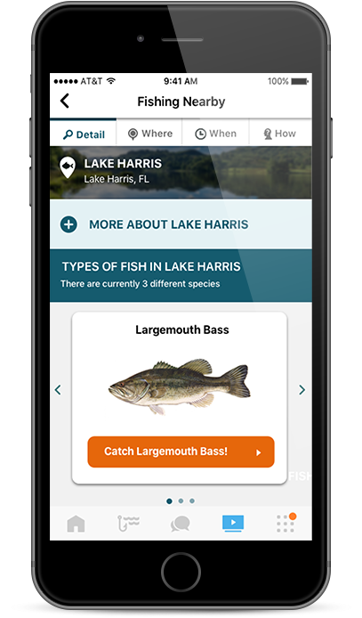 Your Guide - Cool Fish Detail App (447x799), Png Download