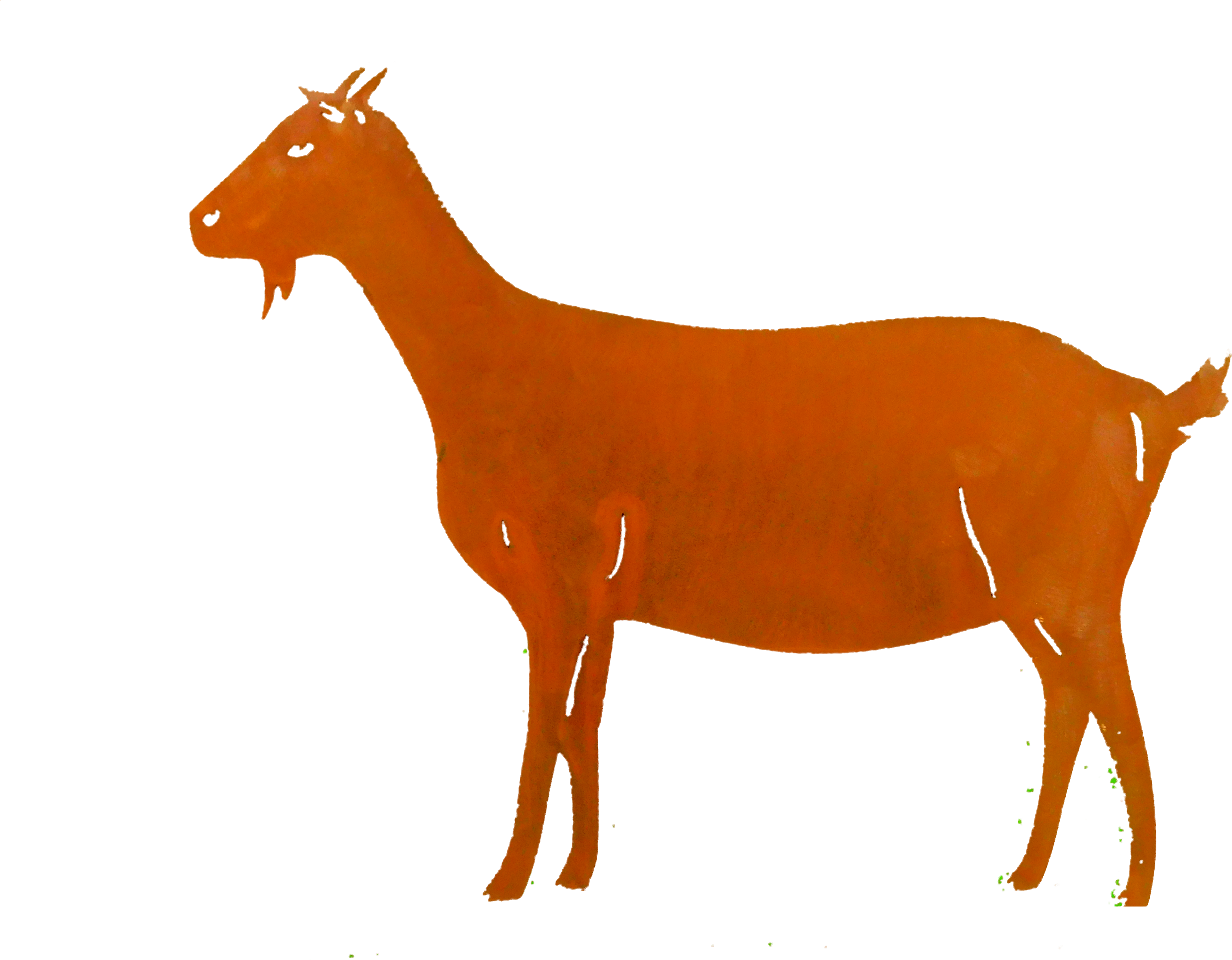 Goat Larger Image (4608x3456), Png Download
