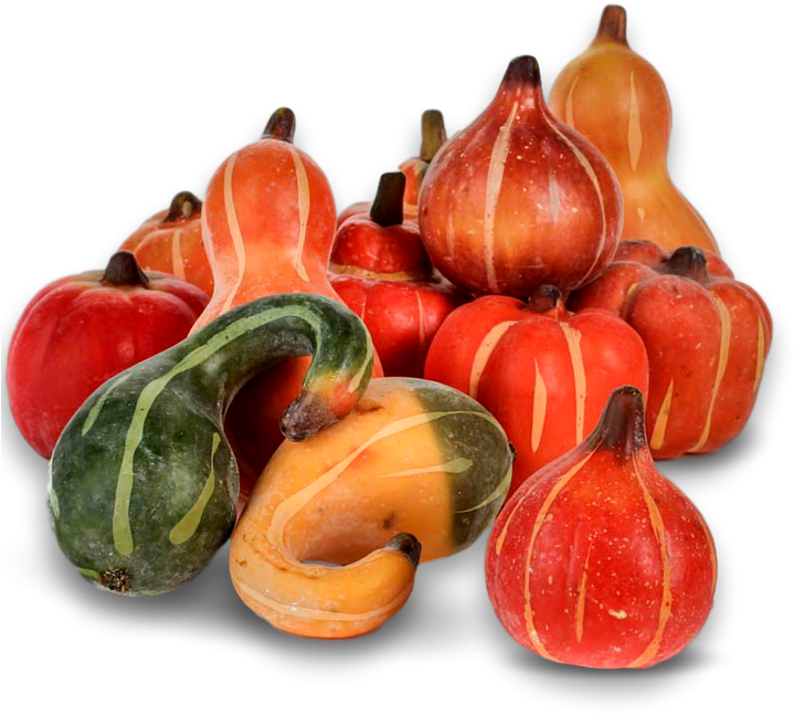 Pumpkin, Fall, Autumn, Harvest, Thanksgiving, Season - Calabaza (720x720), Png Download