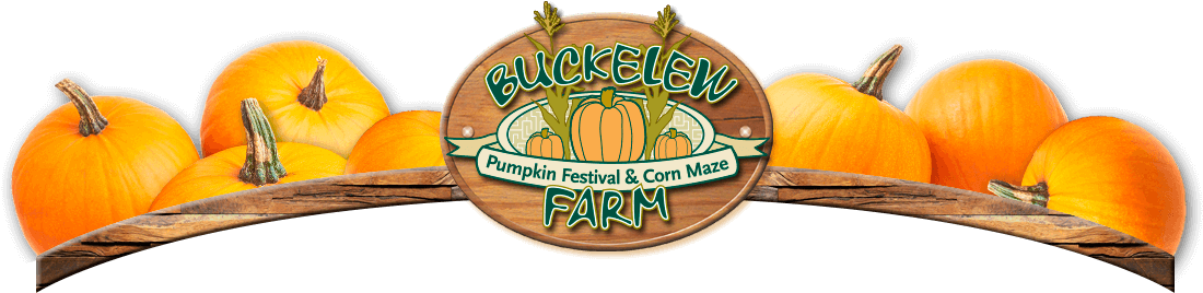 Menu - Pumpkin (1109x605), Png Download