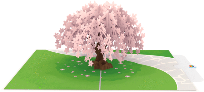 Cherry Blossom Pop Up Card Thumbnail - Cherry Blossom (672x672), Png Download