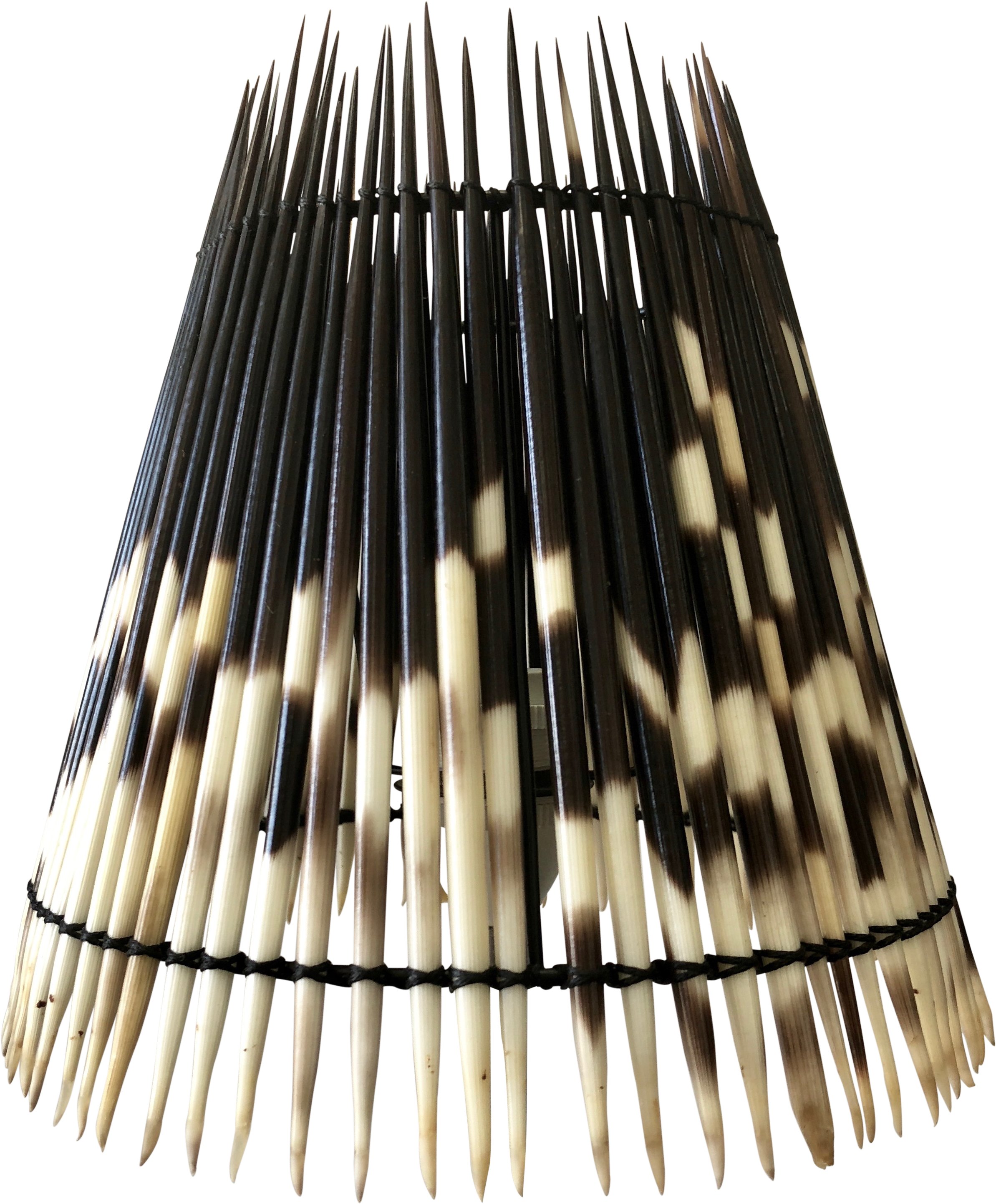 Porcupine - Cosmetics (3024x4032), Png Download