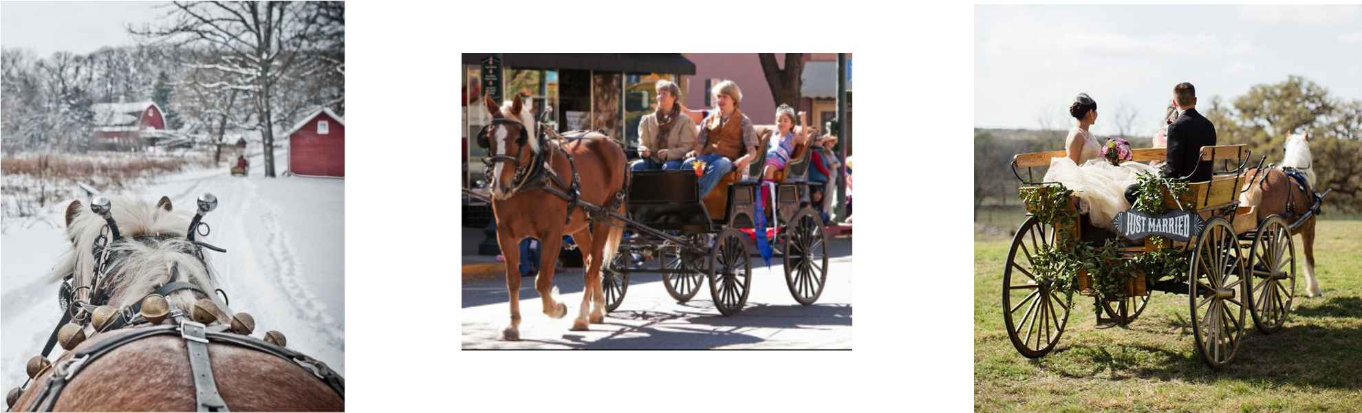 Book The Carriage That Best Suits Your Event Choose - Horse And Buggy (2125x748), Png Download
