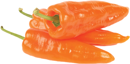 Orange Pointed Peppers - Puntpaprika Oranje (800x560), Png Download