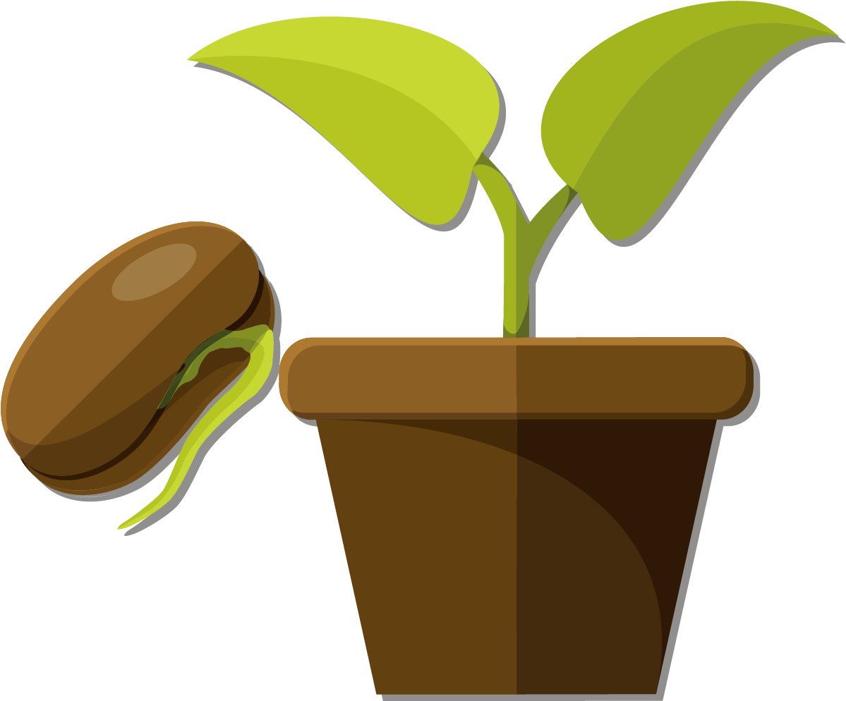 Snow Pea Flowerpot And Potted Plants Vector - Semillas Y Plantas Png (1240x1149), Png Download