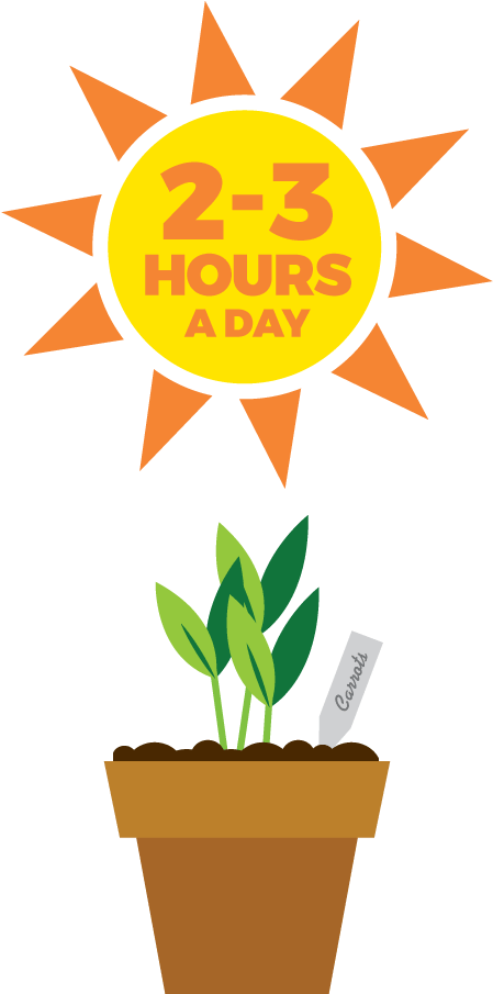 Seedlings Require 2-3 Hours Of Sunlight Daily - Flowerpot (550x916), Png Download