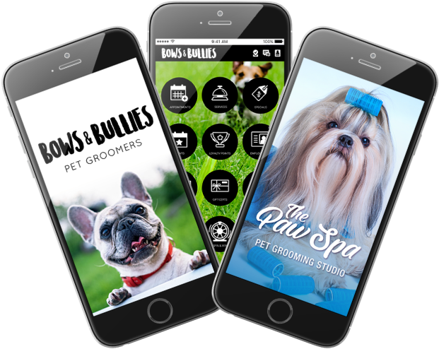 Photo Of Example Of Custom Pet Grooming Business Apps - Iphone (680x555), Png Download