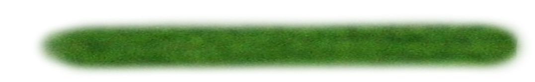 Pasto Y Estadios Png Para Walls (1254x1600), Png Download