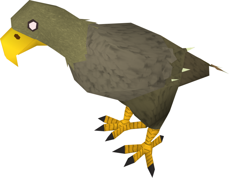 Buzzard (770x600), Png Download