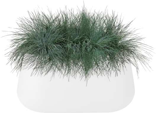 Home > Collection > Pure Cone Long - Grass (750x750), Png Download
