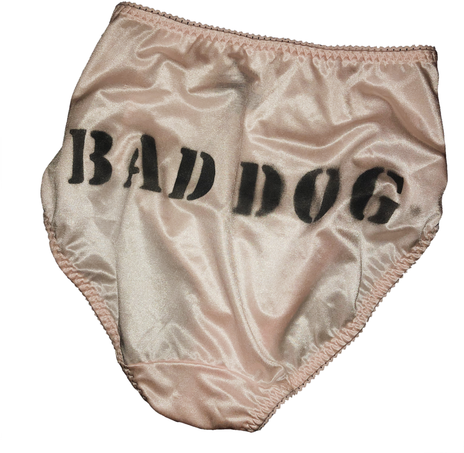 Bad Dog Panties (1000x1000), Png Download