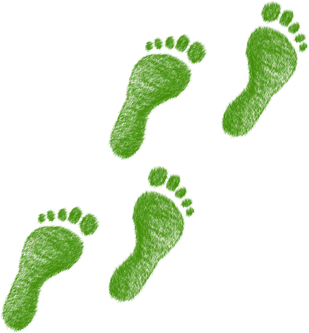 Environmental Footprint - Ecological Footprint (720x720), Png Download